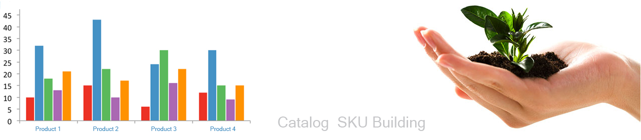 Catalog SKU Building